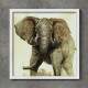 Quadro Decorativo Quadrado Envelhecido Elefante