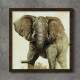 Quadro Decorativo Quadrado Envelhecido Elefante