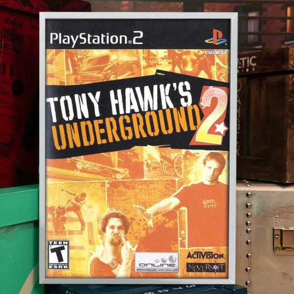 Quadro Decorativo Geek Jogo Tony Hawks Underground