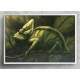 Quadro Decorativo Abstrato Pintura Camale�o