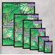 Quadro Decorativo Abstrato Grego com Folhas