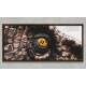 Quadro Decorativo Slim Abstrato Olho de Dinossauro