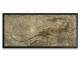 Quadro Decorativo Slim Abstrato Ossos de Dinossauro na Pedra