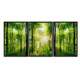 Kit 3 Quadros Decorativos �rvores na Floresta