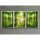 Kit 3 Quadros Decorativos �rvores na Floresta