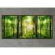 Kit 3 Quadros Decorativos �rvores na Floresta