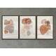Kit 3 Quadros Decorativos Minimalista Marrom