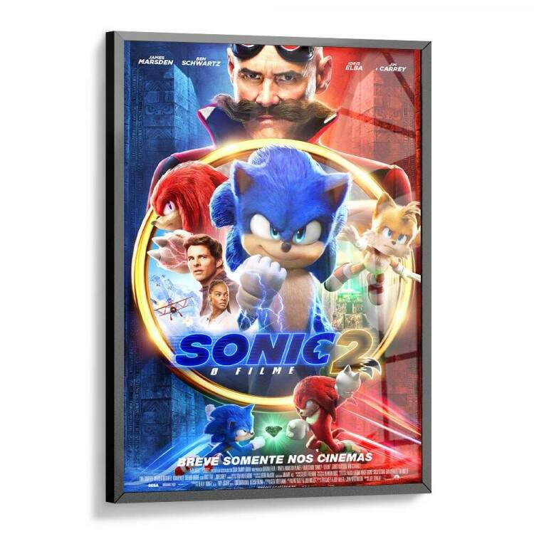 Quadro Decorativo Filme Sonic 2