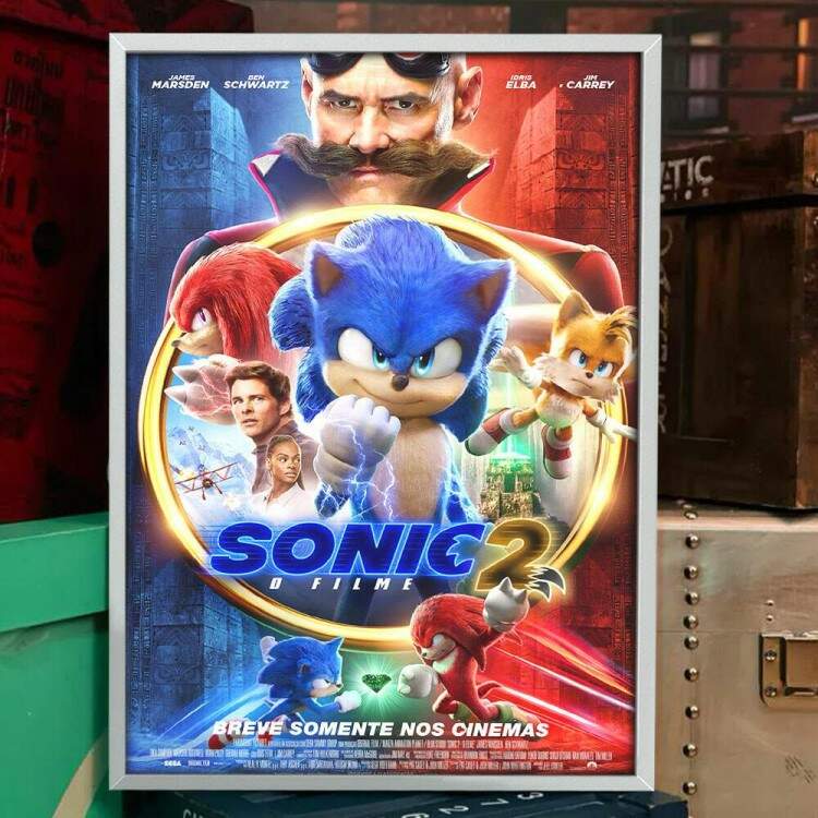 Quadro Decorativo Filme Sonic 2