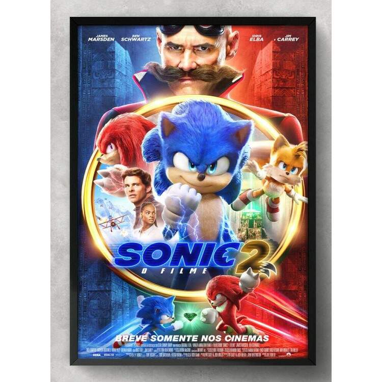 Quadro Decorativo Filme Sonic 2