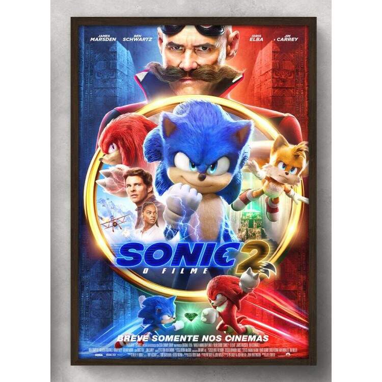 Quadro Decorativo Filme Sonic 2