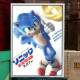 Quadro Decorativo Geek Sonic O Jogo