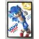Quadro Decorativo Geek Sonic O Jogo