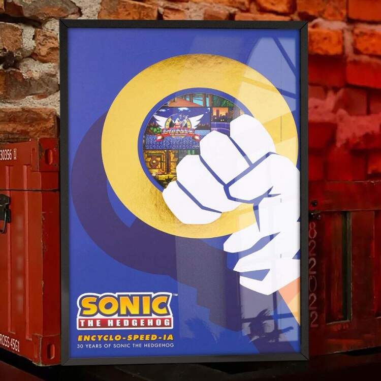 Quadro Decorativo Geek Sonic Anel de Teletransporte