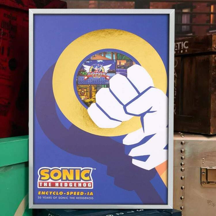 Quadro Decorativo Geek Sonic Anel de Teletransporte