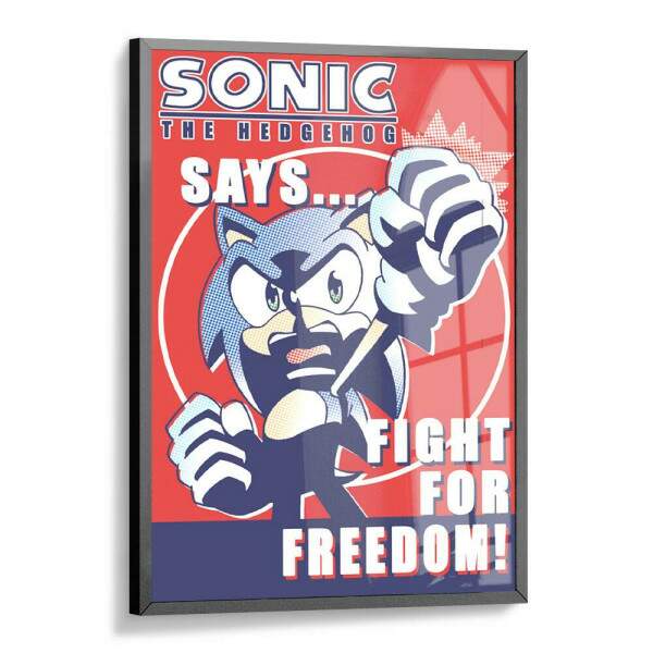 Quadro Decorativo Geek Sonic Freedom