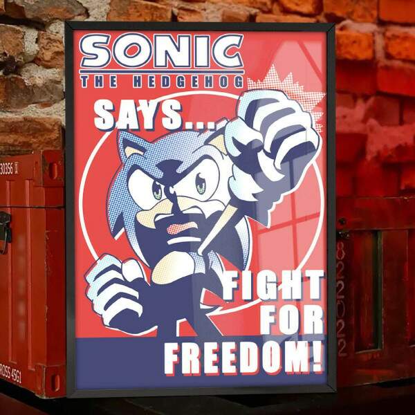 Quadro Decorativo Geek Sonic Freedom