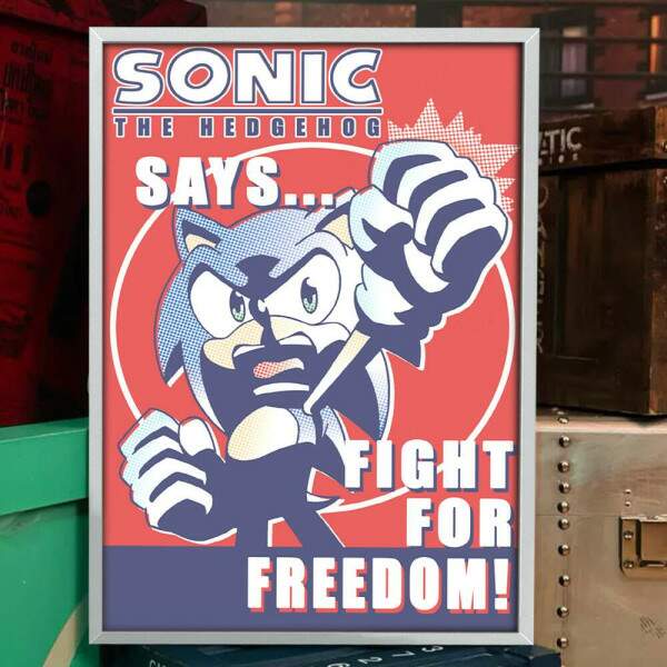 Quadro Decorativo Geek Sonic Freedom