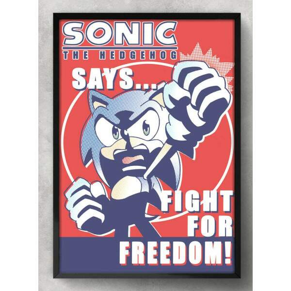 Quadro Decorativo Geek Sonic Freedom