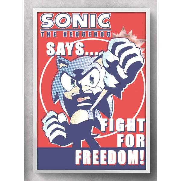 Quadro Decorativo Geek Sonic Freedom