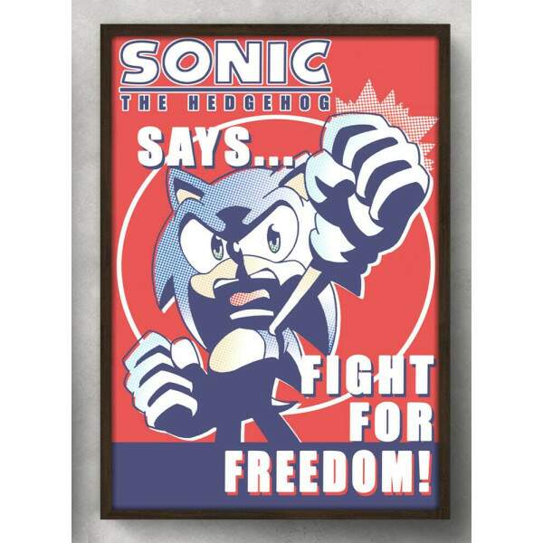 Quadro Decorativo Geek Sonic Freedom