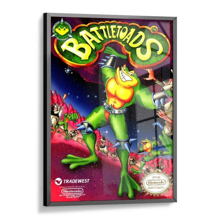 Quadro Decorativo Geek Jogo Battletoads