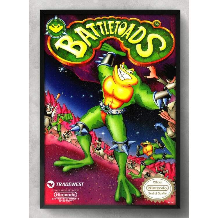 Quadro Decorativo Geek Jogo Battletoads