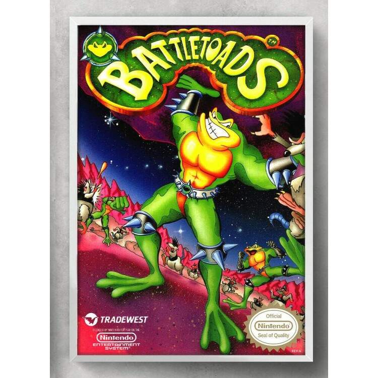 Quadro Decorativo Geek Jogo Battletoads