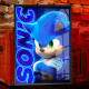 Quadro Decorativo Geek Sonic Neon