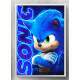 Quadro Decorativo Geek Sonic Neon