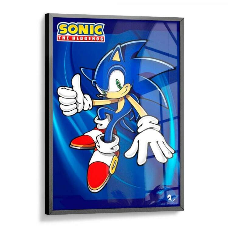 Quadro Decorativo Geek Sonic Mod 2