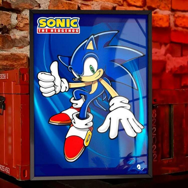 Quadro Decorativo Geek Sonic Mod 2