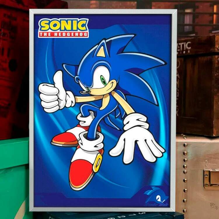 Quadro Decorativo Geek Sonic Mod 2