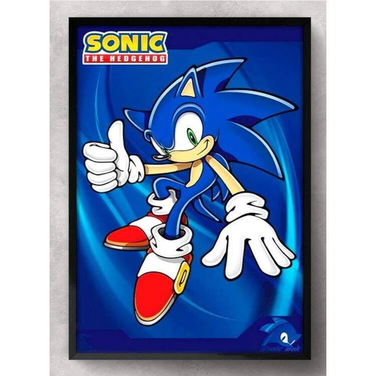 Quadro Decorativo Geek Sonic Mod 2