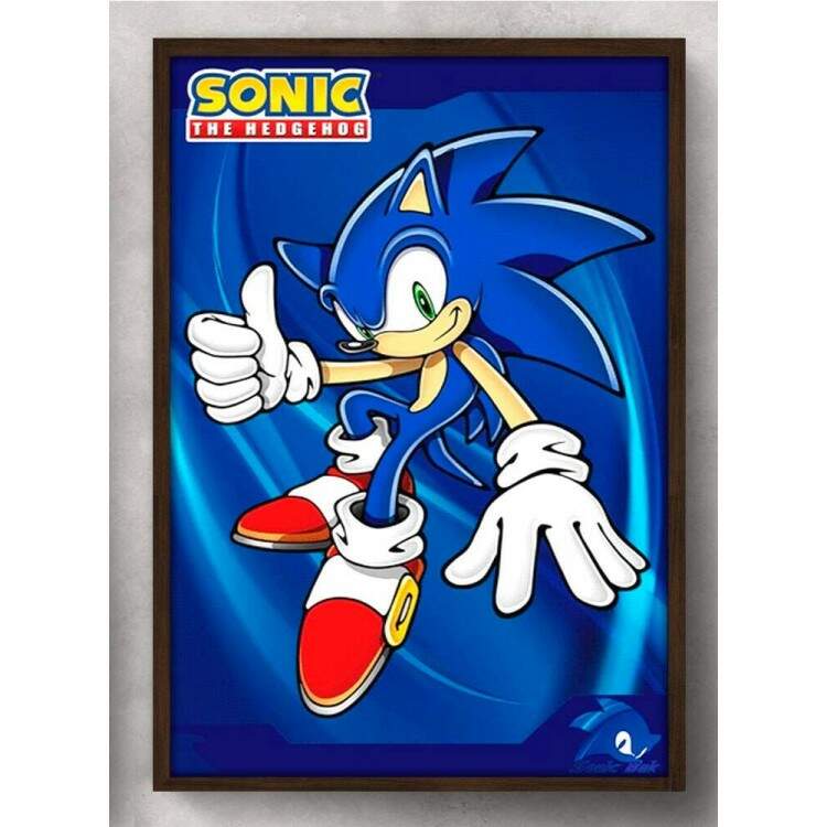 Quadro Decorativo Geek Sonic Mod 2