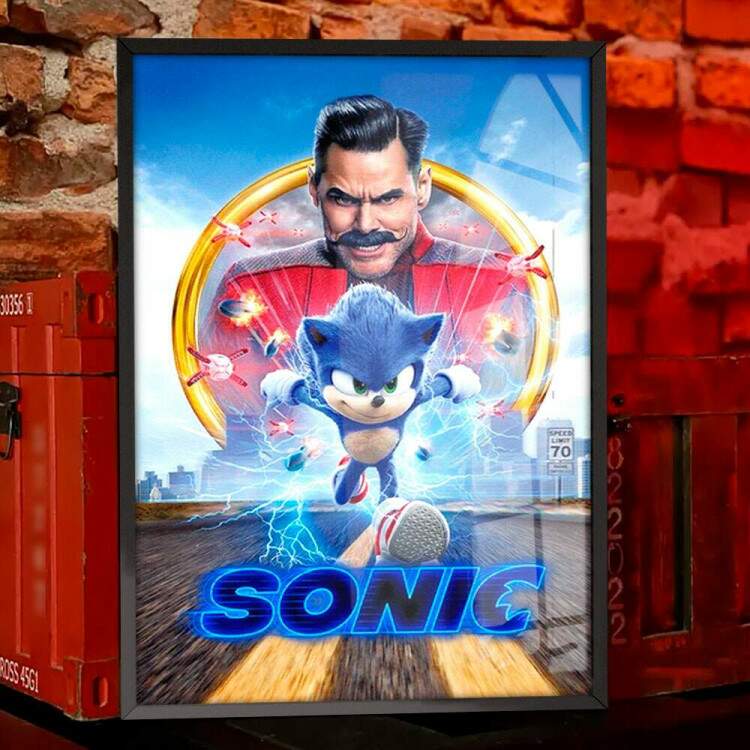 Quadro Decorativo Geek Sonic Robotnik