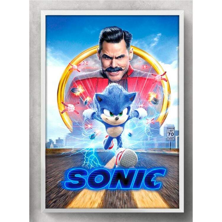 Quadro Decorativo Geek Sonic Robotnik