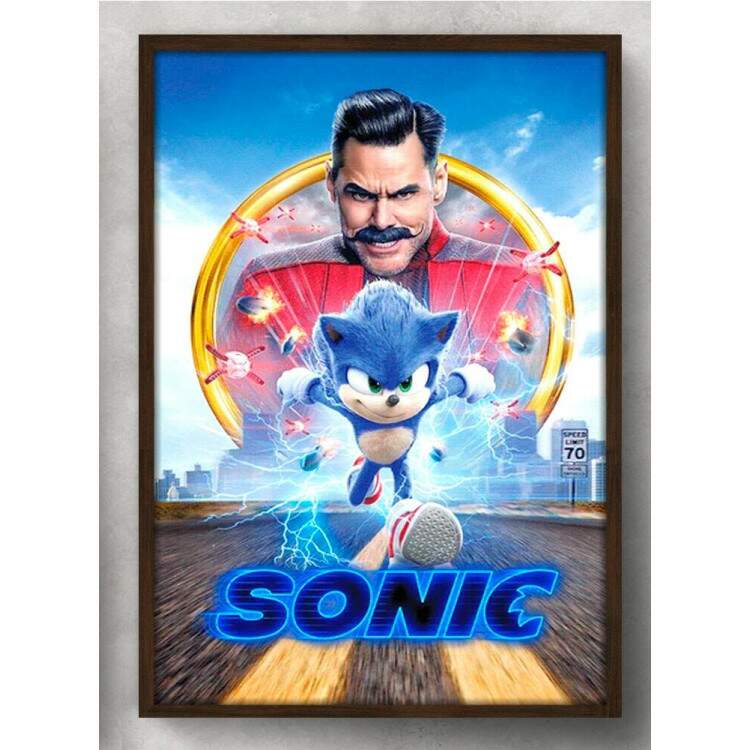 Quadro Decorativo Geek Sonic Robotnik