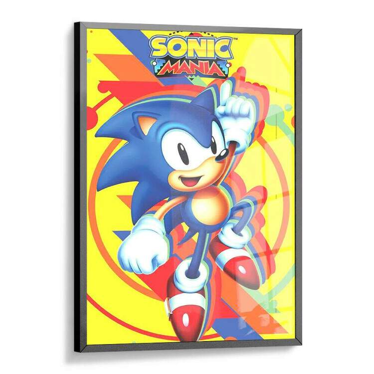 Quadro Decorativo Geek Sonic Mania