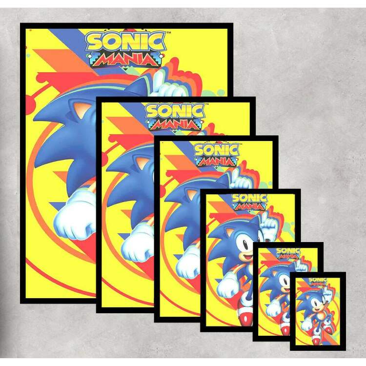 Quadro Decorativo Geek Sonic Mania