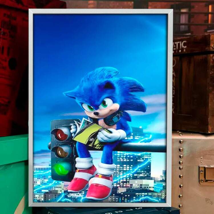 Quadro Decorativo Geek Sonic no Semforo