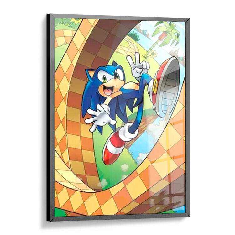 Quadro Decorativo Geek Sonic no Loop