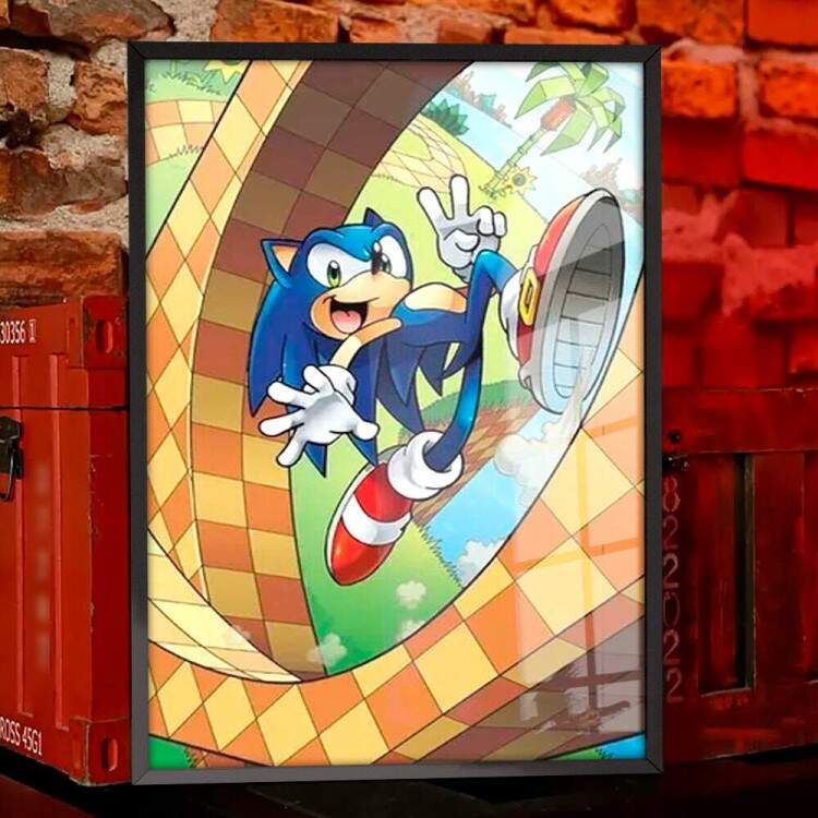 Quadro Decorativo Geek Sonic no Loop