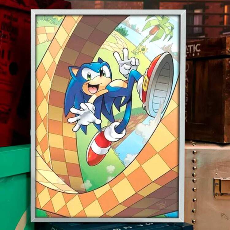 Quadro Decorativo Geek Sonic no Loop