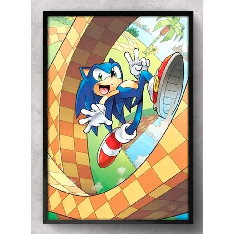 Quadro Decorativo Geek Sonic no Loop