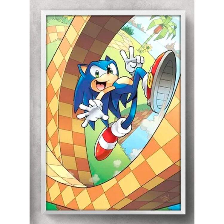 Quadro Decorativo Geek Sonic no Loop