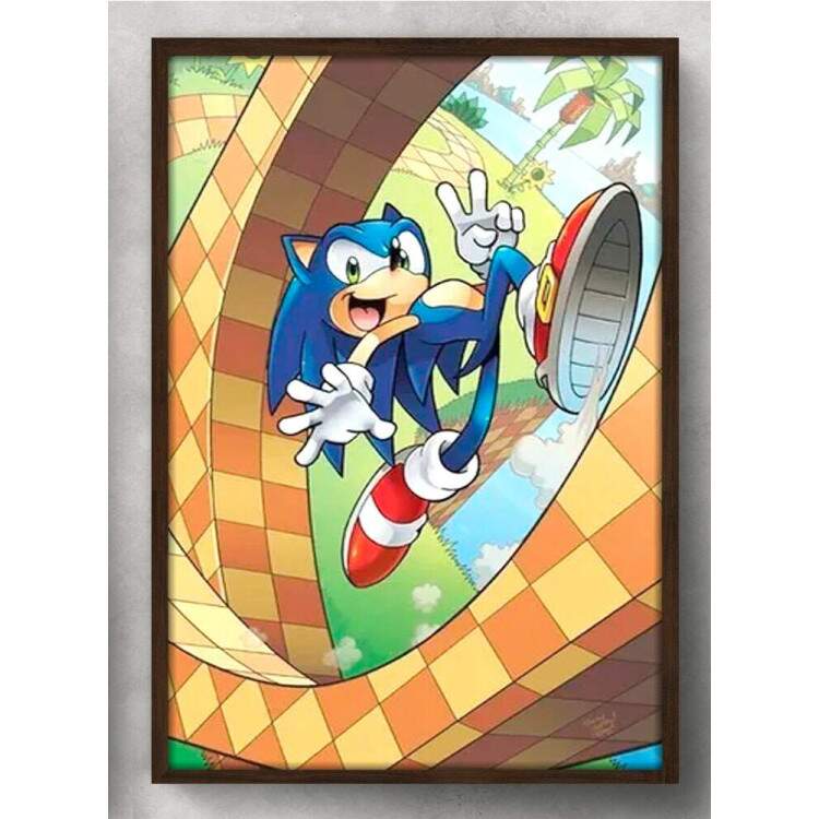 Quadro Decorativo Geek Sonic no Loop