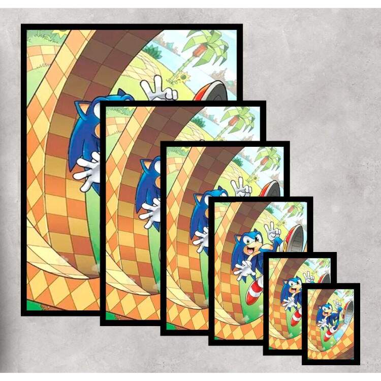 Quadro Decorativo Geek Sonic no Loop