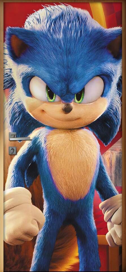 Adesivo para Porta Sonic Corpo Inteiro