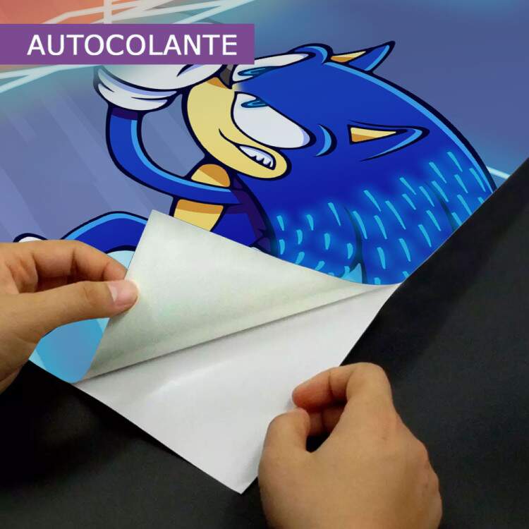 Adesivo para Porta Sonic e KnucKles